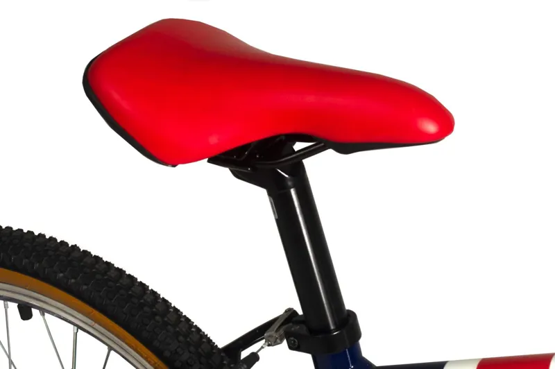 Raleigh Pop 20 Junior Bike in Dark Blue-4